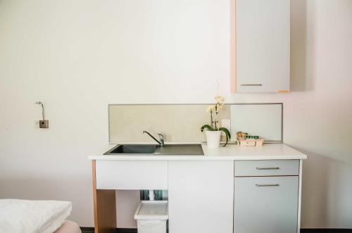 a white kitchen with a sink and a counter at BikeHikeSleep Apartments in Sasbachwalden