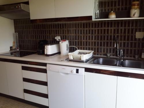 une cuisine avec un évier et un plan de travail dans l'établissement Karolina Properties - Ascot Appartement, à Cannes