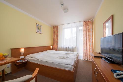 a hotel room with a bed and a television at Hotel SOREA SNP in Demanovska Dolina