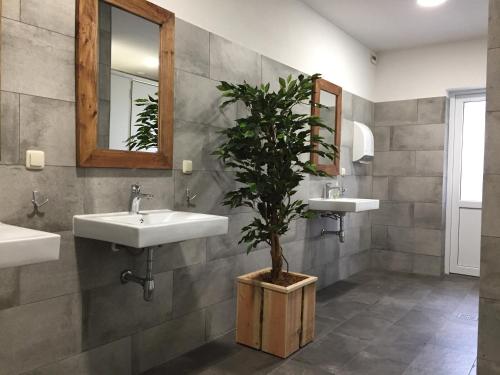 a bathroom with two sinks and a potted tree at Ingerichte De Waard tent - 5 personen in Beilen