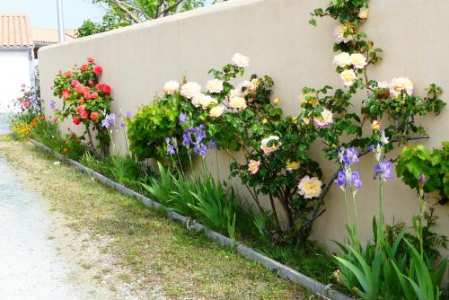 Κήπος έξω από το La Passerose 3 pièces avec jardin au calme,à 300m de la plage,