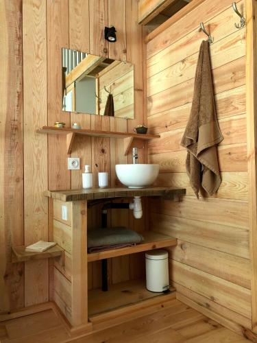une salle de bain avec un lavabo et un miroir dans l'établissement LES VACANCES AUX CERCINS, à Vensac