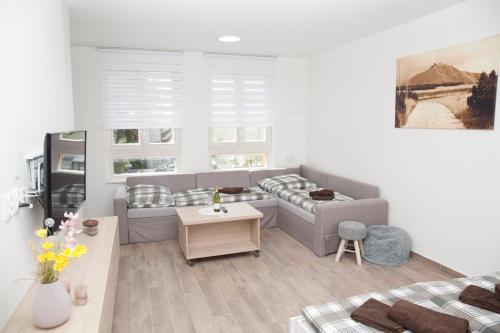 TV a/nebo společenská místnost v ubytování Apartmán Horní Mísečky J4