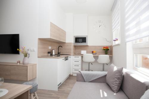 Kuchyň nebo kuchyňský kout v ubytování Apartmán Horní Mísečky J4