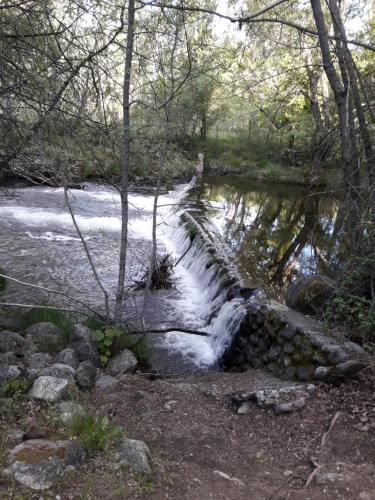 a stream of water with rocks in a forest at Zaguan in Rascafría