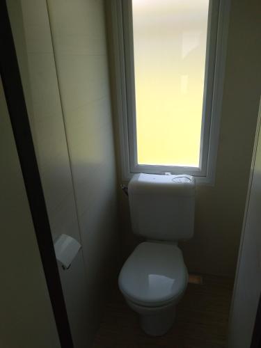La salle de bains est pourvue de toilettes et d'une fenêtre. dans l'établissement earl domaine du plec, à Salaunes