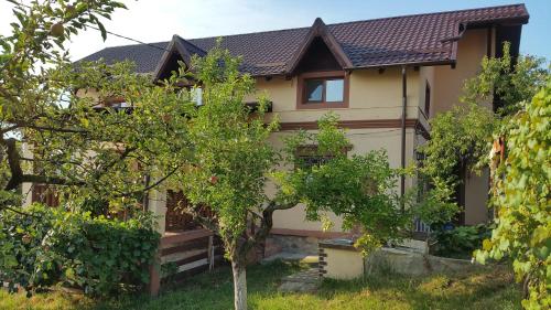 a house with a tree in front of it at Vila Magnolia in Curtea de Argeş