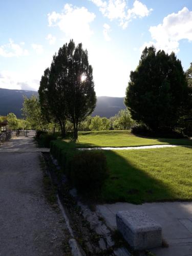 a park with two trees and a grass field at PLAZA DE LA VILLA 24 in Rascafría