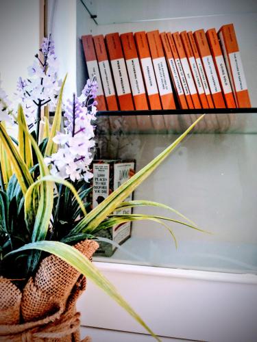 a book shelf with books and a vase of flowers at Inglenook Cottage in Moonta