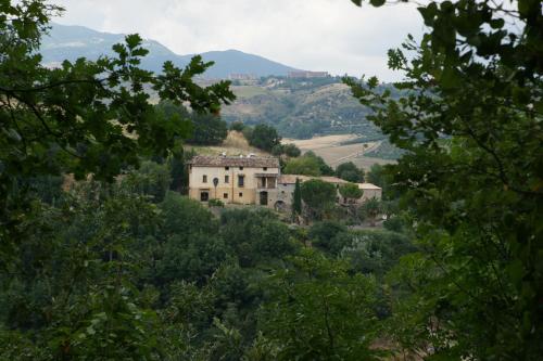 a house on the side of a hill with trees at Agriturismo L'Antico Casale in Altomonte