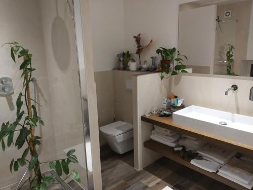 een badkamer met een wastafel en een toilet bij Le Térébinthe B&B in Lauris