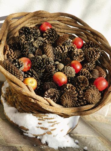 a basket filled with pine cones and apples at Sporthotel Schönruh in Ehrwald