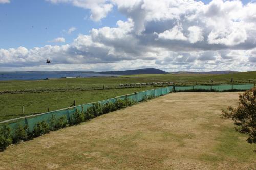 a field with a fence and sheep in a field at Aviedale Suite in Gorseness