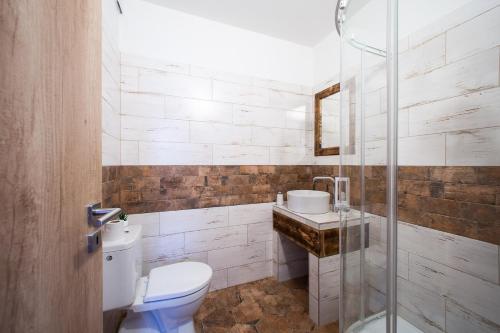 a bathroom with a toilet and a sink and a shower at Penzion Šarlota & Vinařství Vítek Josef in Mutěnice