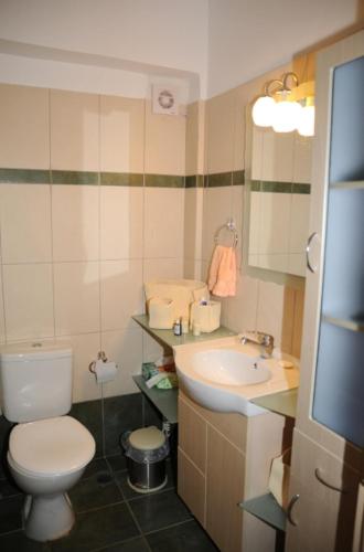 a bathroom with a toilet and a sink at Dio Guesthouses in Leonidion