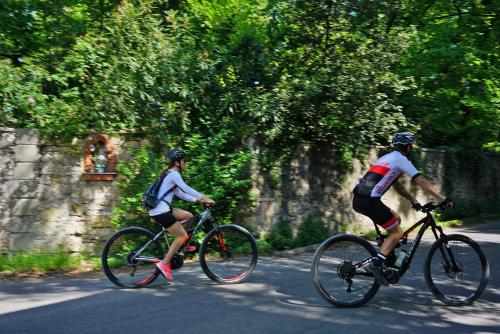 Montar en bicicleta en Domus Cariana o alrededores