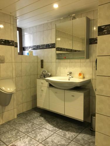 a bathroom with a sink and a toilet at Ferienwohnung Helmut Beisiegel in Traisen