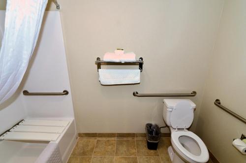 a bathroom with a toilet and a bath tub at Cobblestone Inn & Suites - Holstein in Holstein