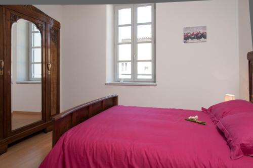 een slaapkamer met een bed met een roze deken en een spiegel bij La Terrasse de Jules in Carcassonne