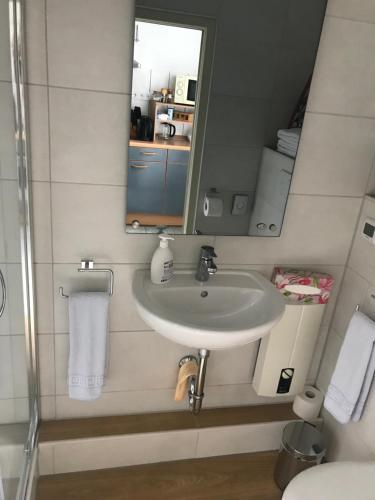 a bathroom with a sink and a mirror at Ferienwohnung Wieneke in Velbert