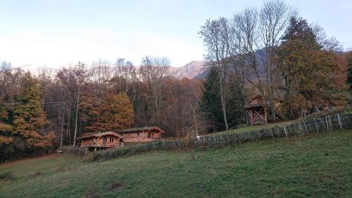 a group of cottages on a hill in a field at Les Cabanes Du Saleve in Collonges-sous-Salève