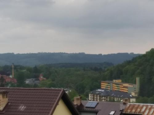 uma vista para uma cidade com árvores e edifícios em Lesna 26 em Kudowa-Zdrój