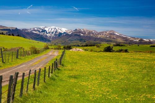 a road through a field with mountains in the background at La Dormeuse du Val in Chambon-sur-Lac