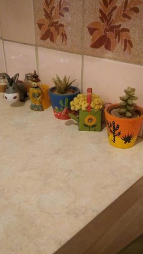 a group of potted plants sitting on a counter at CHRYSSA - ΧΡΥΣΑ in Patra