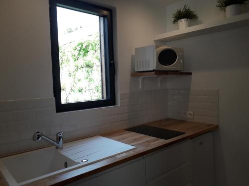 cocina con fregadero y ventana en Studio avec jardin et stationnement gratuit à Rouen en Ruan