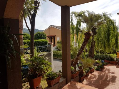 een binnenplaats met palmbomen en planten bij Residence La Meridiana in San Bartolomeo al Mare