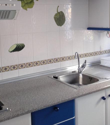 a kitchen counter with a sink and some vegetables on the wall at Balcon de San Jose in San José