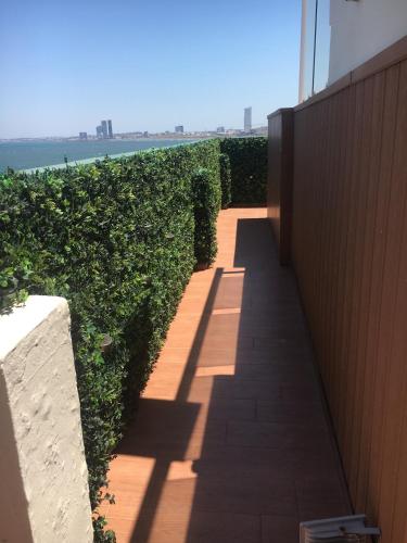 a shadow of a building next to a hedge at FRENTE PLAYA vista al mar, PISCINA DE USO EXCLUSIVO in Boca del Río