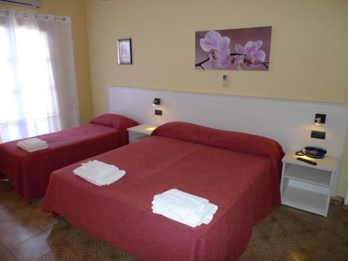Postel nebo postele na pokoji v ubytování Hotel Alexander