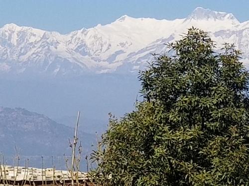 a tree in front of a snow covered mountain at Depche Village Resort in Bandīpur