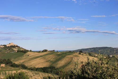 a grassy hill with a house on top of it at Verdemare in Acquaviva Picena