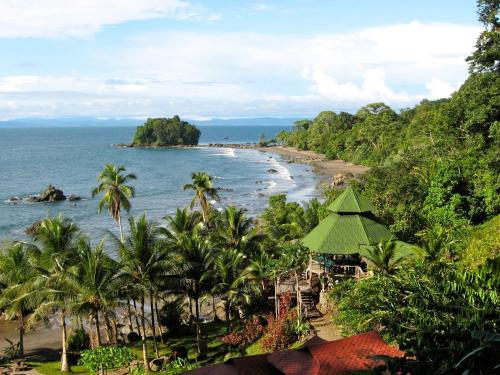 a view of a beach with palm trees and the ocean at Casa Colibrí in Nuquí