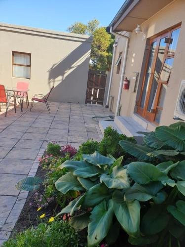a garden in front of a house with plants at Dilisca Guesthouse in Durbanville