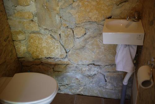 Festes-et-Saint-André的住宿－Vakantiehuisje Catharen gebied，一间带卫生间和石墙的浴室