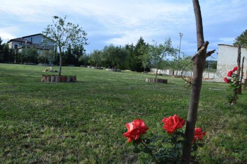 a group of red flowers in a park at Tenuta Ferrara in Altavilla Silentina