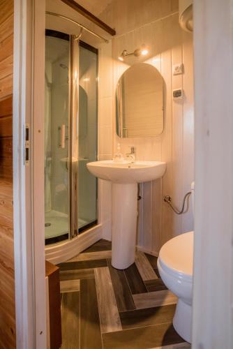a bathroom with a sink and a shower and a toilet at Domek Skowronek in Szczytna