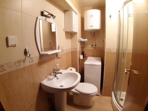 a bathroom with a sink and a toilet and a shower at Ana in Budva
