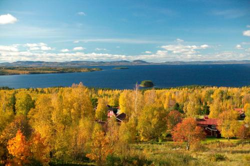 a view of a lake with a house and trees at Green Hotel in Tällberg