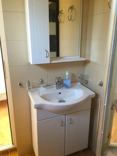 a bathroom with a white sink and a mirror at Sobe Srebrno Jezero in Veliko Gradište