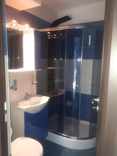 Vonios kambarys apgyvendinimo įstaigoje BlueSky Cantemir