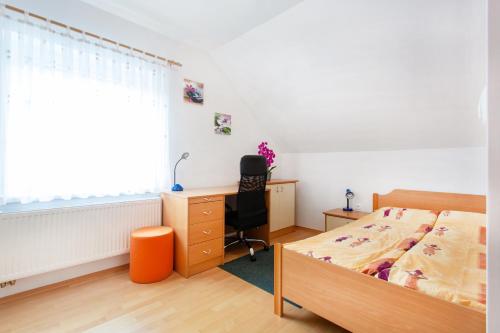 um quarto com uma cama, uma secretária e uma cadeira em Orchid room em Kranj