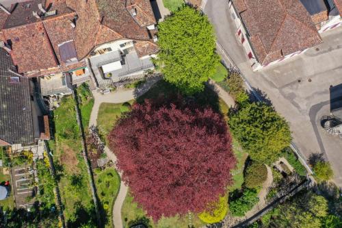 an aerial view of a park with trees and buildings at Magnifique maison vigneronne avec grand jardin in Auvernier