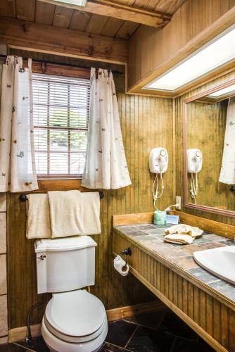 a bathroom with a toilet and a sink at Boxwood Lodge Blowing Rock near Boone-University in Blowing Rock