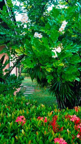 a garden with pink and white flowers and trees at Family-friendly house, a few steps from the pool and close to the ocean. in Mae Pim
