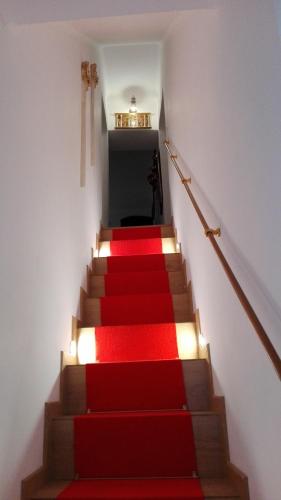 a red carpeted staircase with a red rug on it at Império Romano Guest House in Beja
