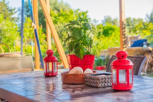 Κήπος έξω από το Casa Rossa